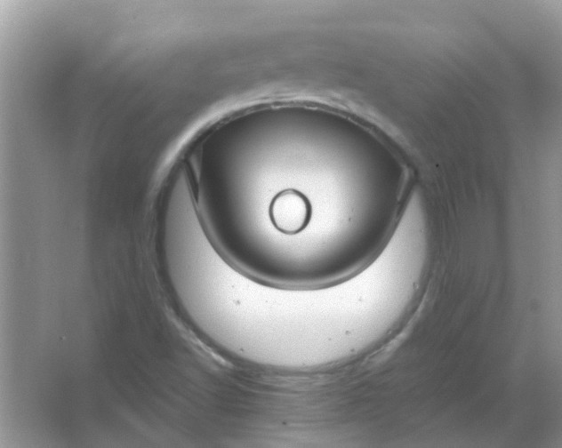 X0000067001502200604072135