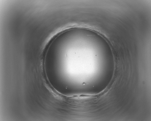 X0000067001503200604072135