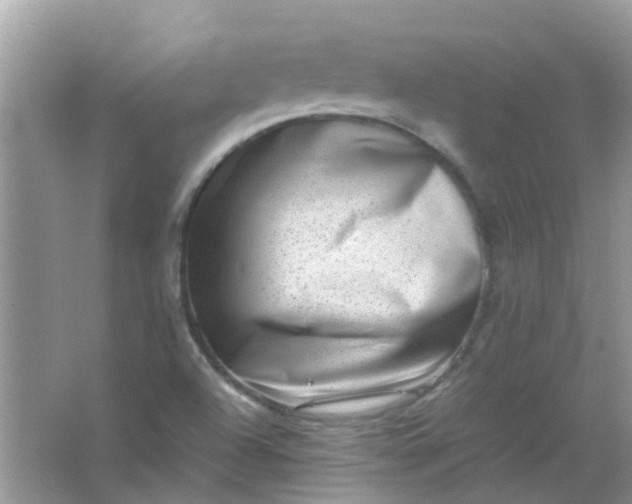 X0000067001504200604072135