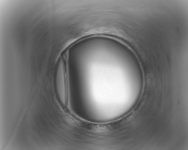 X0000067001505200604072135