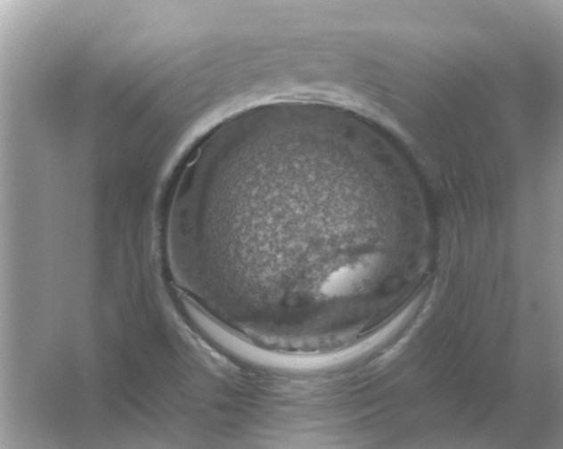 X0000067001506200604072135