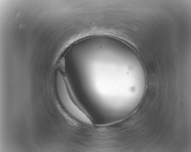 X0000067001507200604072135