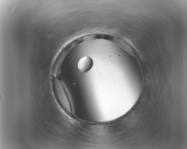 X0000067001508200604072135