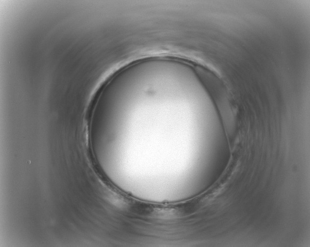 X0000067001509200604072135