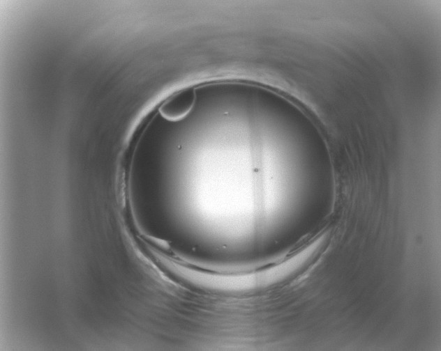 X0000067001510200604072135