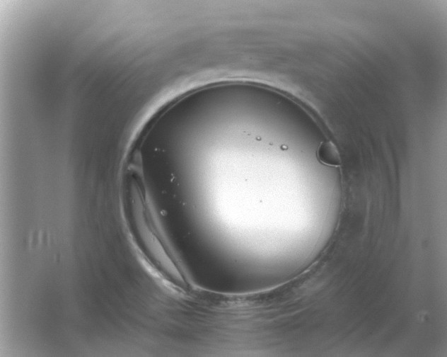 X0000067001511200604072135