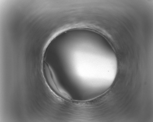 X0000067001512200604072135