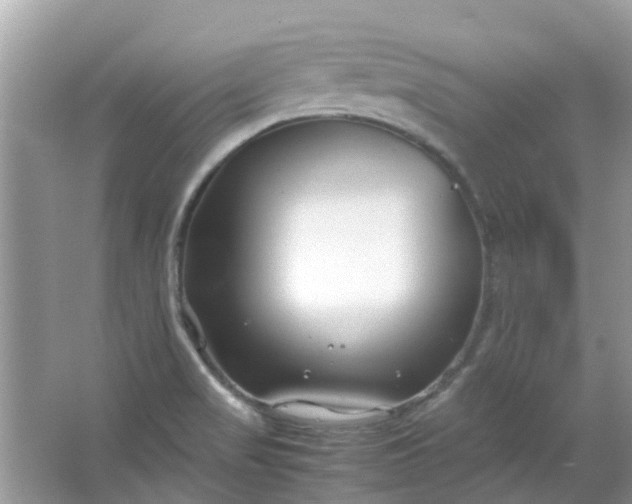 X0000067001517200604072135