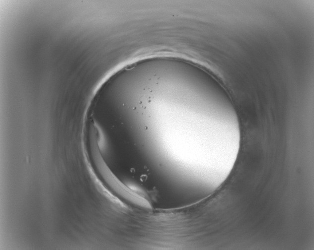 X0000067001518200604072135