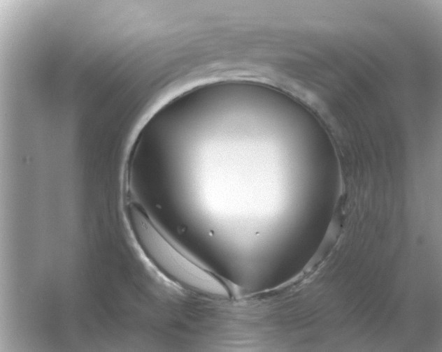 X0000067001520200604072135