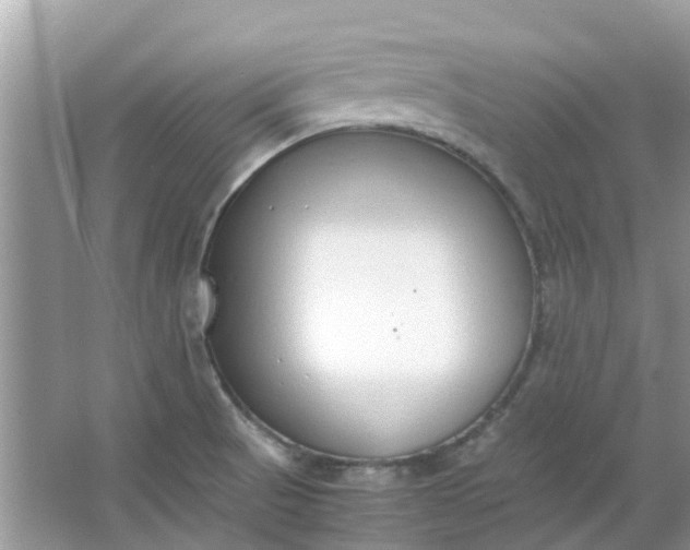 X0000067001521200604072136