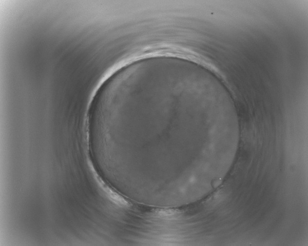 X0000067001522200604072136