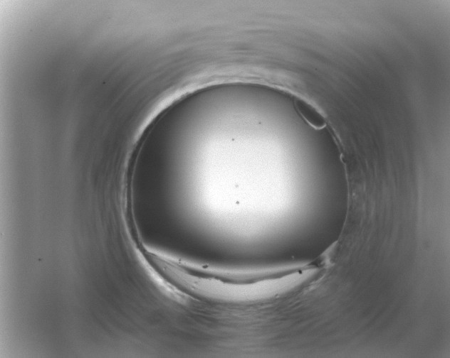 X0000067001523200604072136