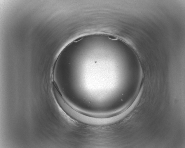 X0000067001524200604072136