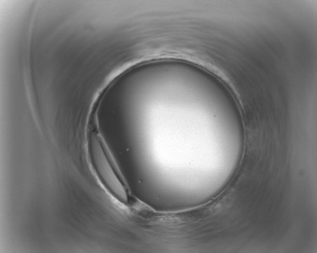 X0000067001525200604072136