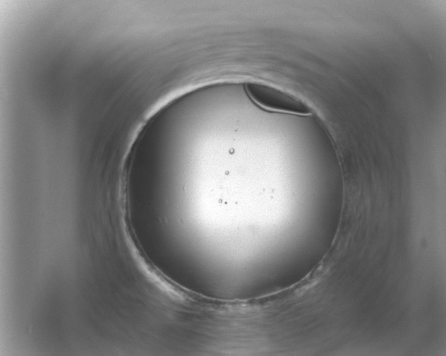 X0000067001526200604072136