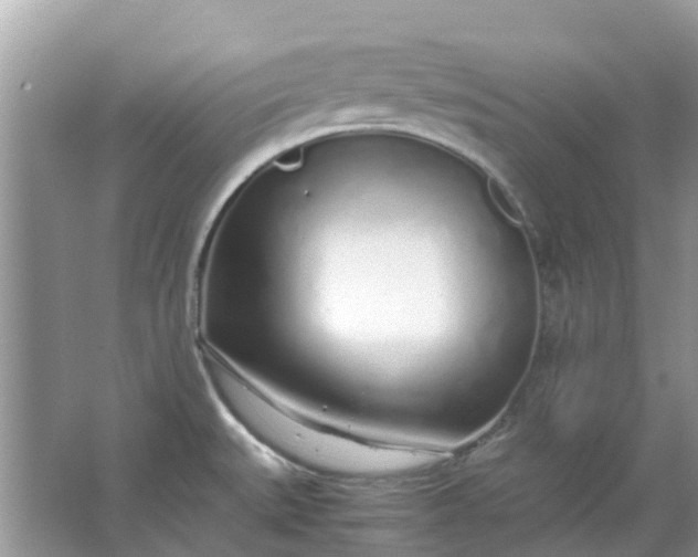 X0000067001527200604072136