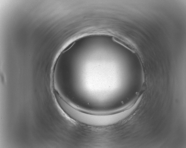 X0000067001528200604072136