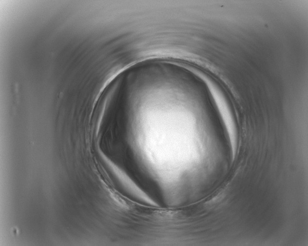 X0000067001529200604072136