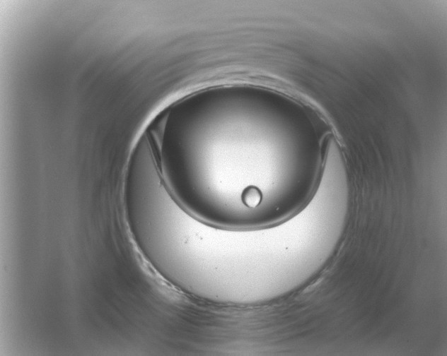 X0000067001530200604072136