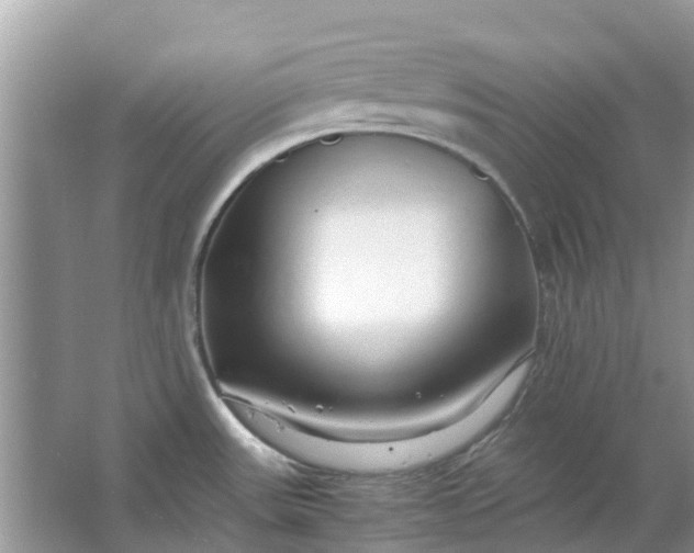 X0000067001531200604072136