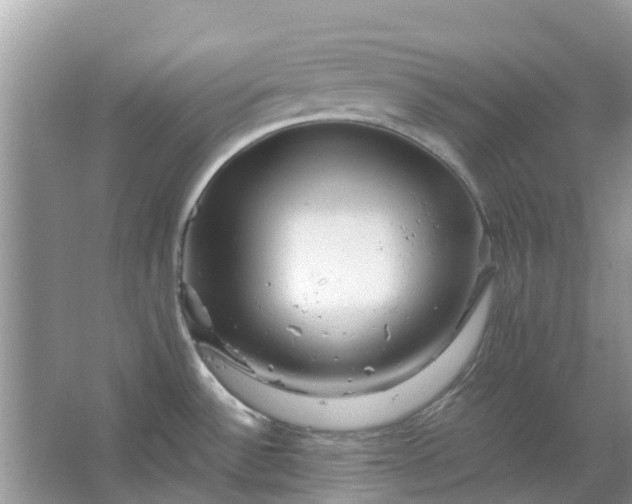 X0000067001532200604072136