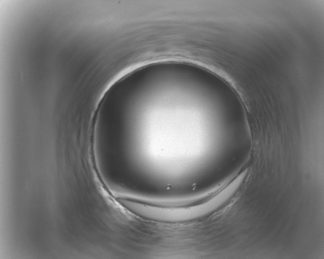 X0000067001534200604072136