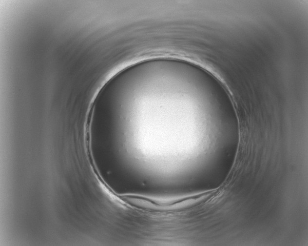 X0000067001535200604072136