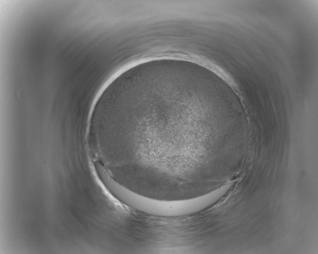 X0000067001536200604072136