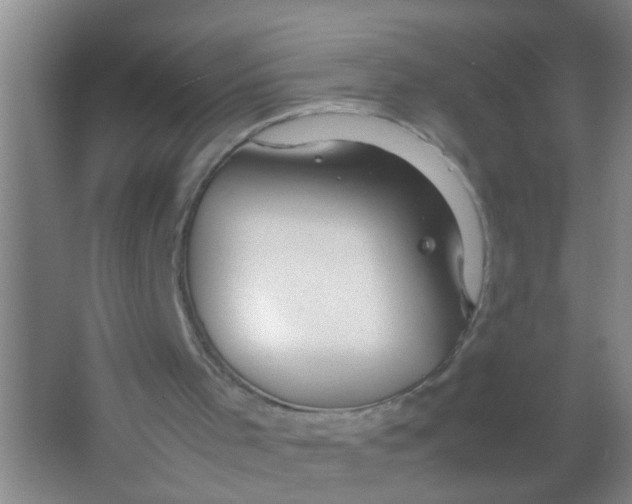 X0000067000001200604142311