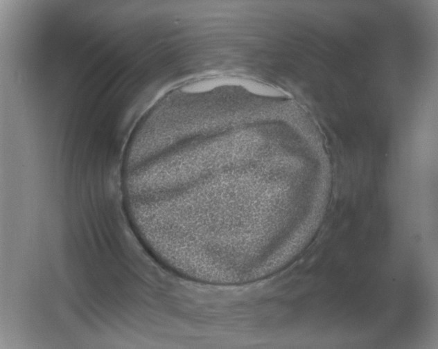 X0000067000002200604142311