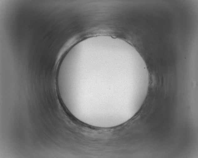 X0000067000004200604142311