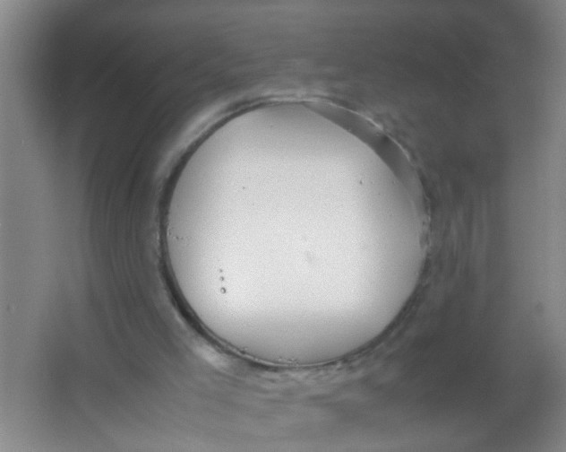 X0000067000005200604142311