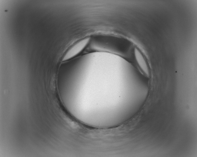 X0000067000009200604142311