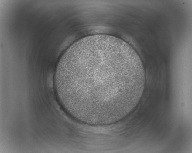 X0000067000010200604142311