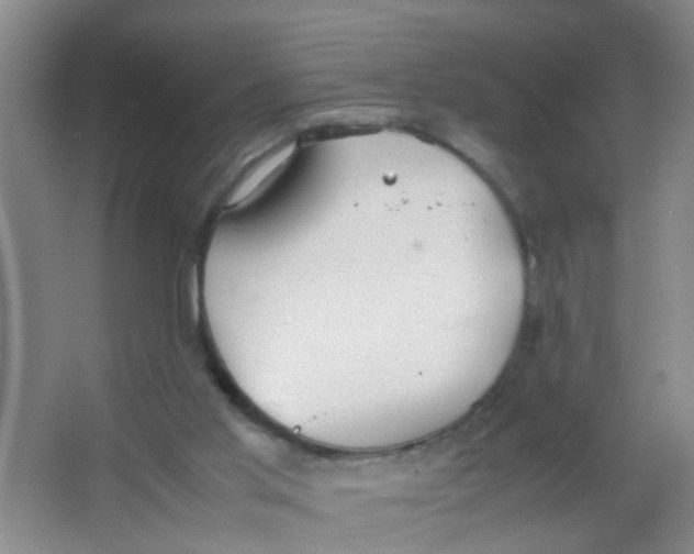 X0000067000013200604142311