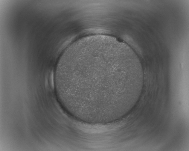 X0000067000014200604142311