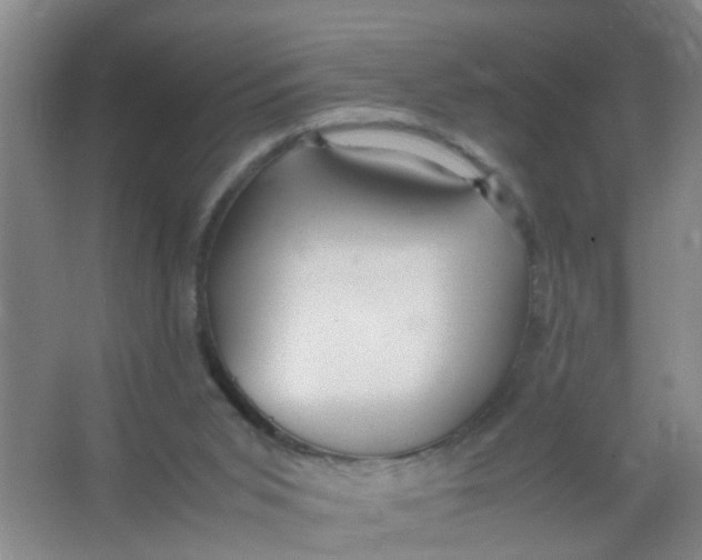 X0000067000015200604142311