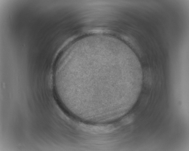 X0000067000016200604142310