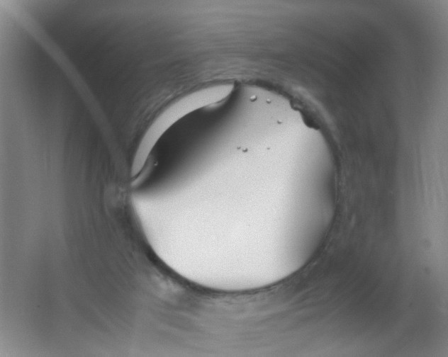 X0000067000017200604142310