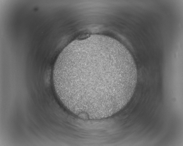 X0000067000018200604142310