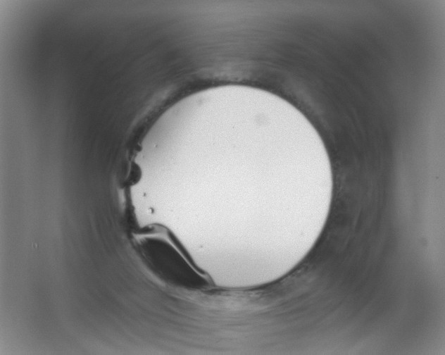 X0000067000020200604142310