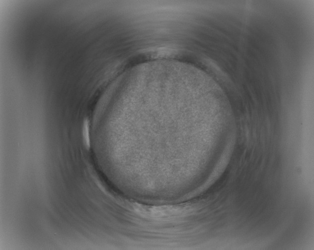 X0000067000022200604142310