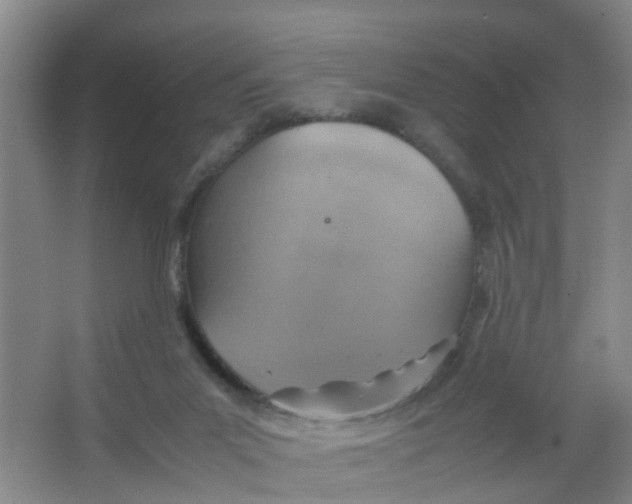 X0000067000023200604142310