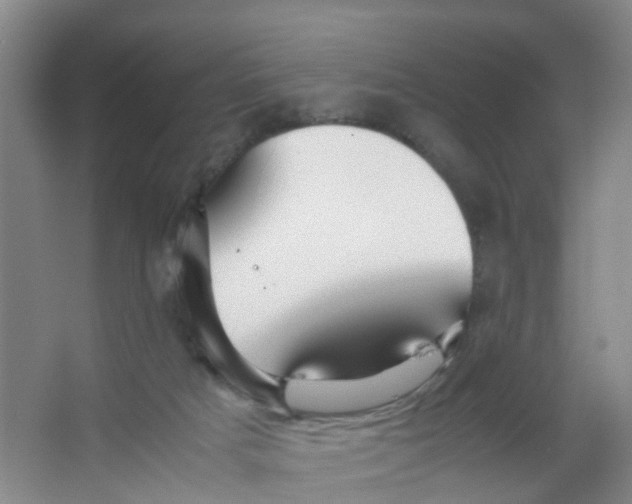 X0000067000025200604142310