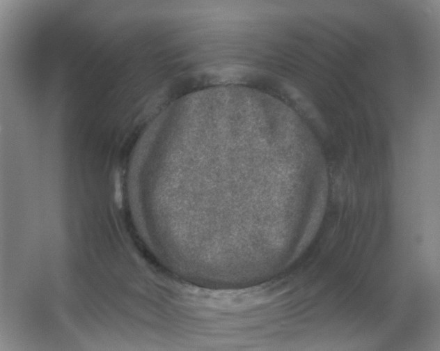 X0000067000026200604142310