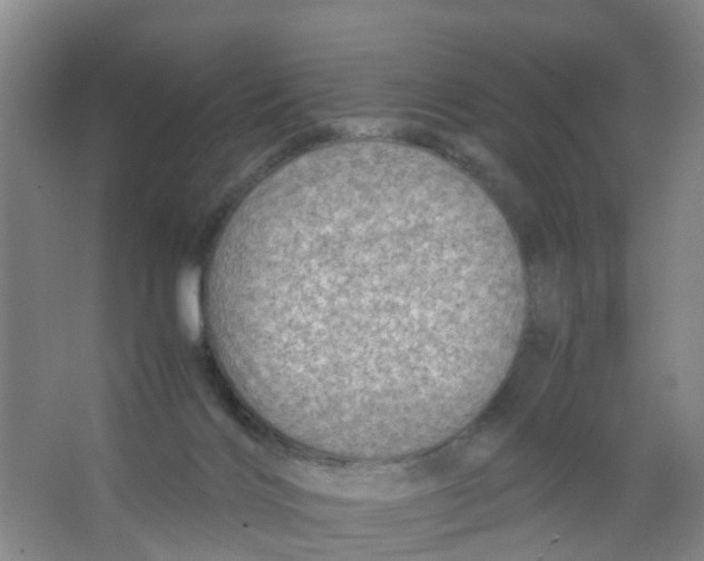 X0000067000028200604142310