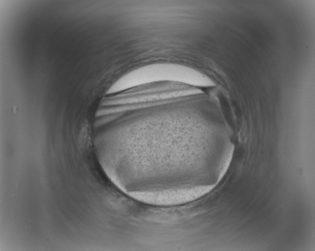 X0000067000029200604142310