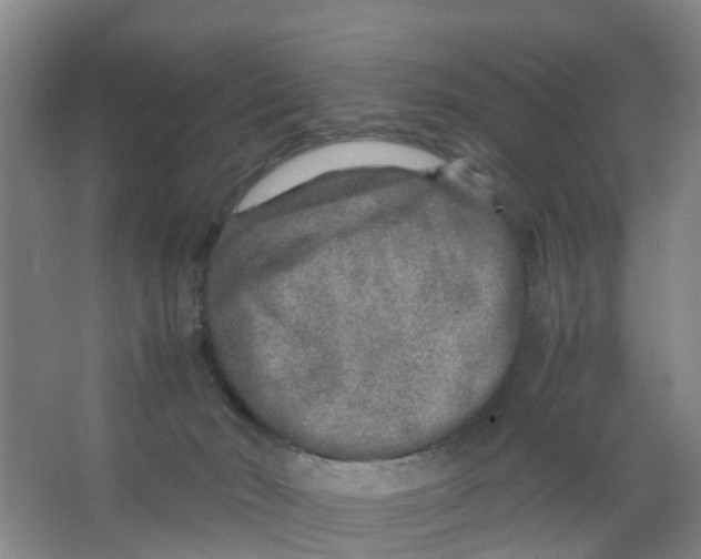 X0000067000030200604142310