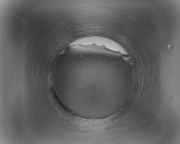 X0000067000031200604142310